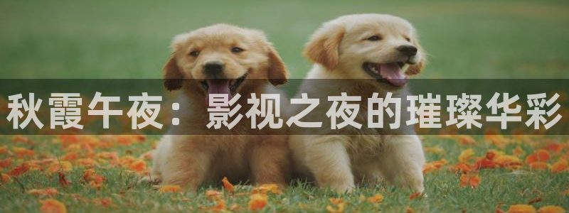 欧美影院午夜剧场