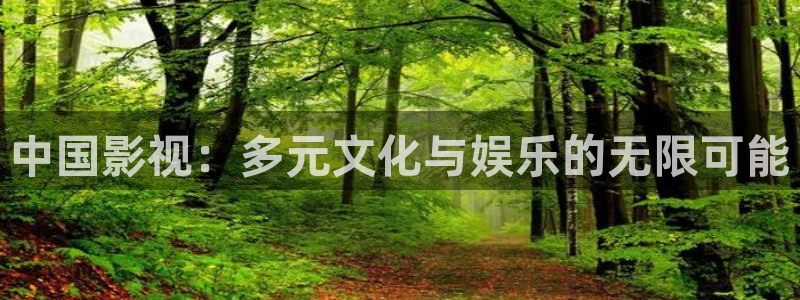 大爷操欧美影院：中国影视：多元文化与娱乐的无限可能
