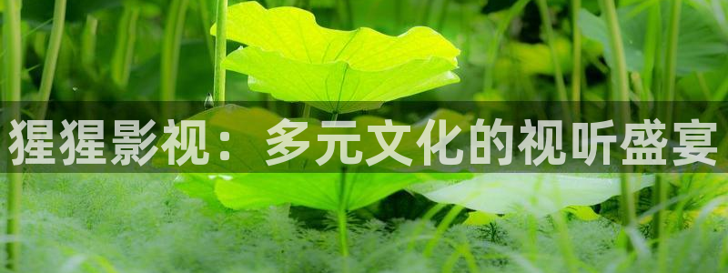 拉风色中色欧美影院