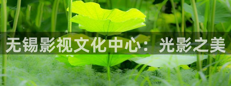 欧美影院最新电影：无锡影视文化中心：光影之美