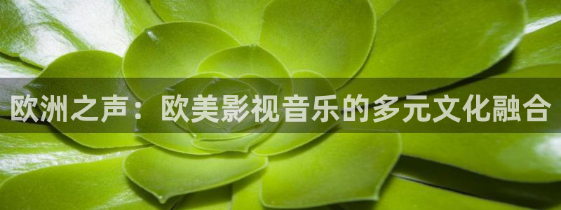欧美影院草草草