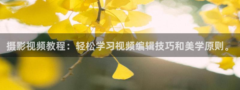 欧美影院在线免费观看